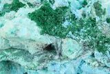 Colorful Quartz and Malachite on Shattuckite - Mexico #256544-1